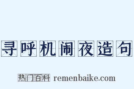 寻呼机闹夜造句是什么意思的图片